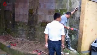 古树洞与山洞 水泥仿石仿木制作
