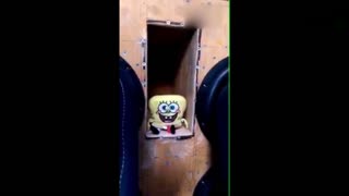 把海绵宝宝放到两块音箱中间就会有这种魔性的效果。 第10秒开始，我已经停不下来了……