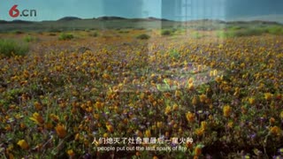 清明节民俗介绍视频_高清.mp4