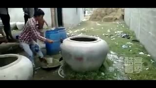 柬埔寨版司马光砸缸救“神兽”