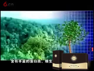 绿色天然健康食品-辣木梵