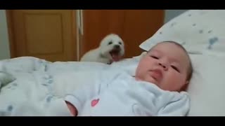 短腿汪汪苦求看小主人一眼