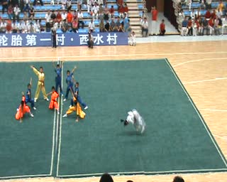 东营圣龙武术、跆拳道、散打