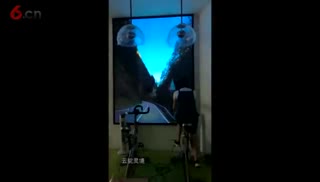 漫游单车风力自行车骑行 互动单车 骑行互动