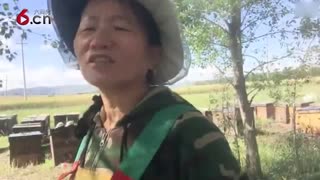 聊一聊养蜂人的辛苦 18.8.6