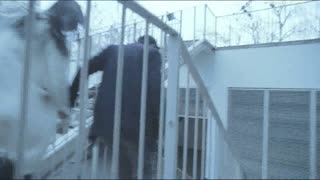 为爱放手一搏 （二）