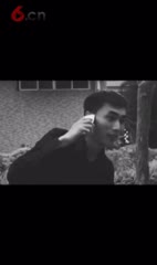 华丽文化传媒-让爱回家