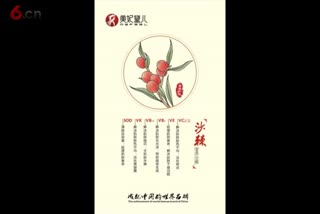 美妃黛儿沙棘营养透亮保湿系列