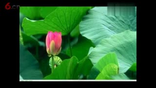 打鱼的人和红亮的心2017.6.11