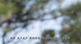 大悲咒