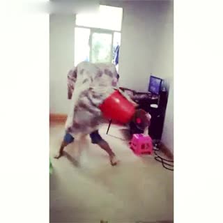 民间舞狮高手