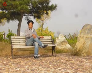 仿石金伯利岩-为园林公司培训景观美工