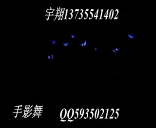 手影舞