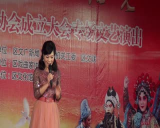 电视剧《严凤英》主题曲：山野的风