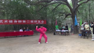 33开门八极拳小架四路 包头武术健身qq群 第二届群友会