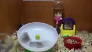 跑~也记得抬头看看方向·晨星成长计划