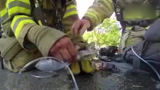 自然给我们最好的礼物是灵性