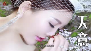 陈映蓉 - 天意（歌词版）