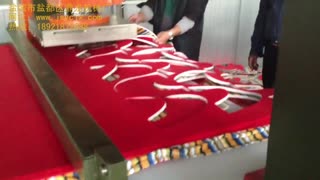 龙门全自动下料机 鞋面裁断
