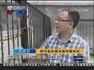 农民挖出价值1500万元乌木被判国有