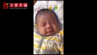 一只委屈小宝宝，拼尽全力忍住不哭，心里的苦都写在了脸上...简直是小戏精本精