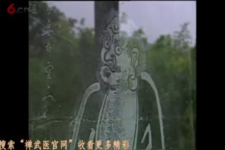 少林心意把桩功