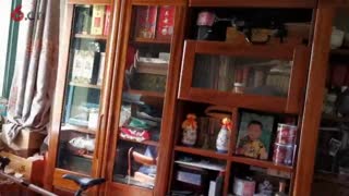 简易P效果图教程--三天成为生态环境设计师