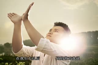 百慕三石《白仙鹤》—— 边漂泊边追梦 边怀念边成长