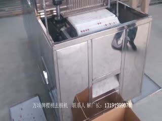 全自动樱桃去核机