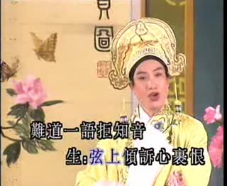 司马琴挑.mpg