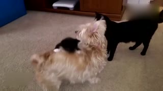 就不松手