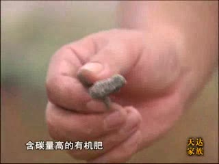 健康土壤山东行之大棚作物篇大棚土壤爱板结